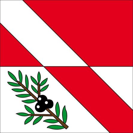 Walterswil SO flag